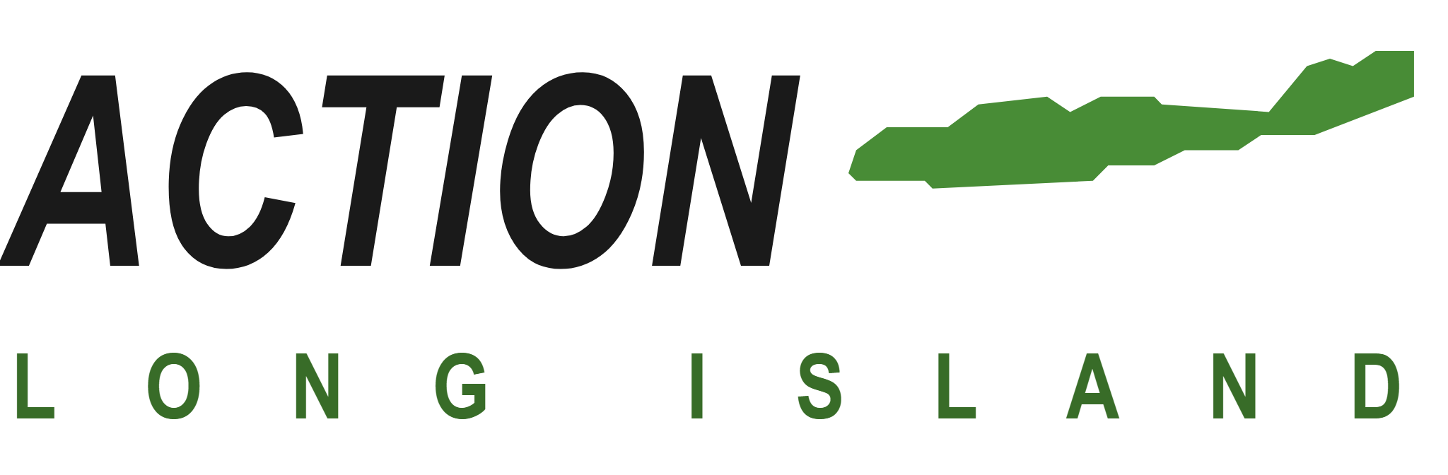 Action Long Island